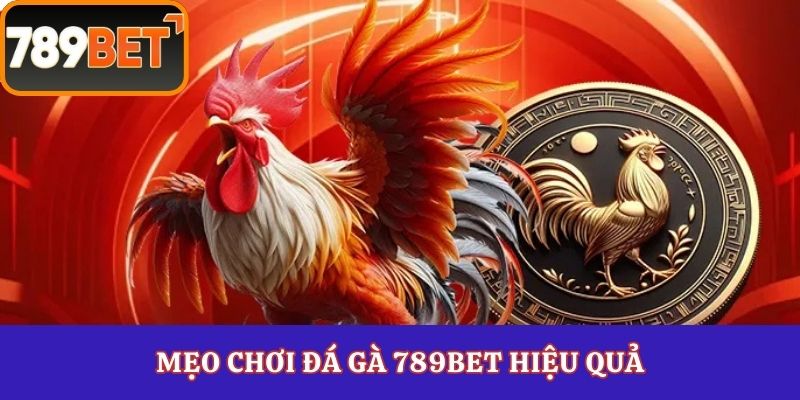 Mẹo chơi đá gà 789Bet hiệu quả